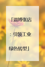 淄博张店：引领工业绿色转型