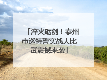 淬火砺剑！泰州市巡特警实战大比武震撼来袭