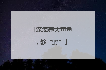 深海养大黄鱼，够“野”
