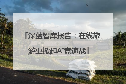 深蓝智库报告：在线旅游业掀起AI竞速战