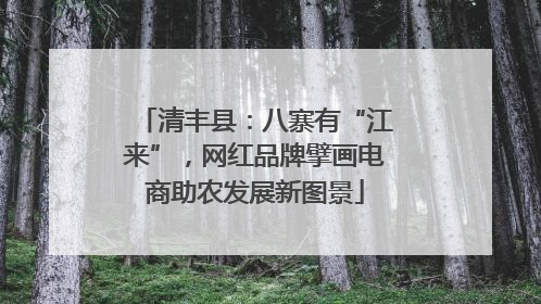 清丰县：八寨有“江来”，网红品牌擘画电商助农发展新图景