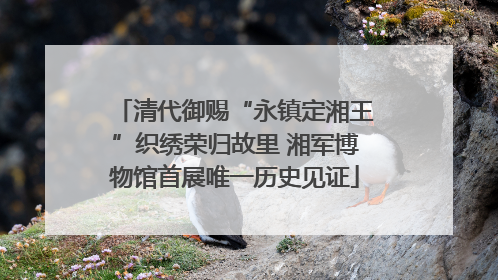 清代御赐“永镇定湘王”织绣荣归故里 湘军博物馆首展唯一历史见证