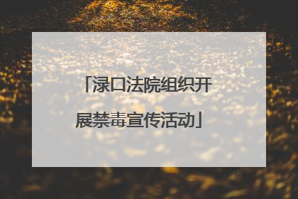渌口法院组织开展禁毒宣传活动