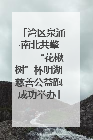 湾区泉涌·南北共擎——“花楸树”杯明湖慈善公益跑成功举办
