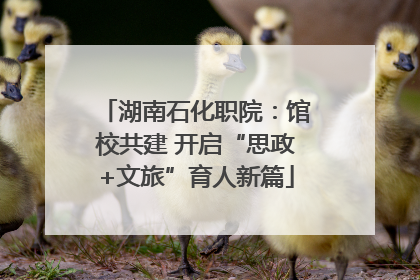 湖南石化职院：馆校共建 开启“思政+文旅”育人新篇