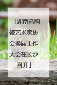 湖南省陶瓷艺术家协会换届工作大会在长沙召开