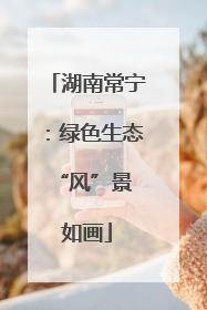 湖南常宁：绿色生态 “风”景如画