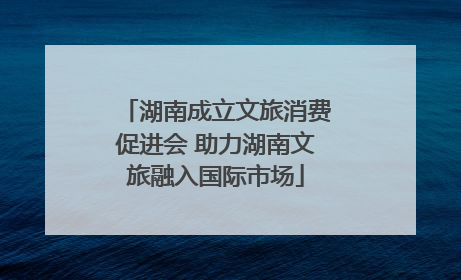 湖南成立文旅消费促进会 助力湖南文旅融入国际市场