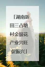 湖南新田三占塘村金银花产业兴旺促振兴