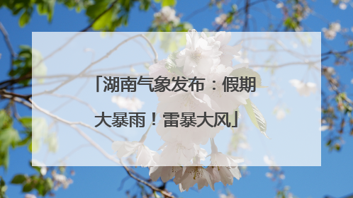 湖南气象发布：假期大暴雨！雷暴大风
