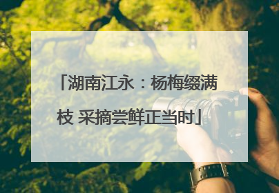 湖南江永：杨梅缀满枝 采摘尝鲜正当时