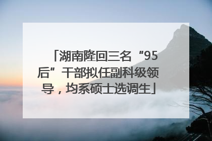 湖南隆回三名“95后”干部拟任副科级领导，均系硕士选调生