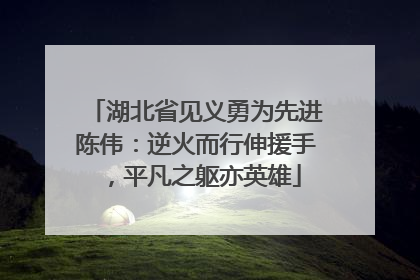 湖北省见义勇为先进陈伟：逆火而行伸援手，平凡之躯亦英雄