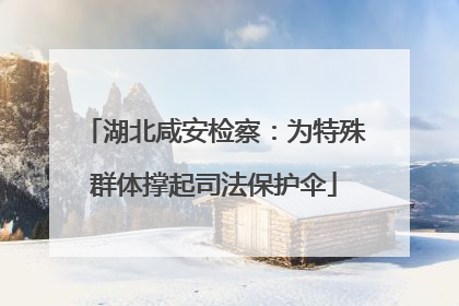 湖北咸安检察：为特殊群体撑起司法保护伞
