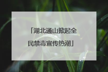 湖北通山掀起全民禁毒宣传热潮