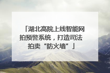 湖北高院上线智能网拍预警系统，打造司法拍卖“防火墙”