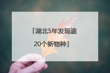 湖北5年发现逾20个新物种
