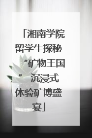 湘南学院留学生探秘“矿物王国” 沉浸式体验矿博盛宴