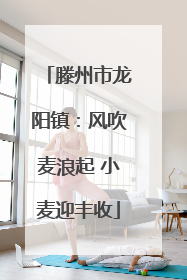 滕州市龙阳镇：风吹麦浪起 小麦迎丰收