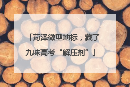 菏泽微型地标，藏了九味高考“解压剂”