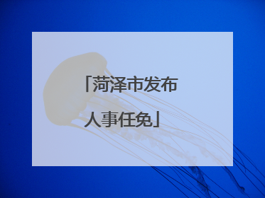 菏泽市发布人事任免