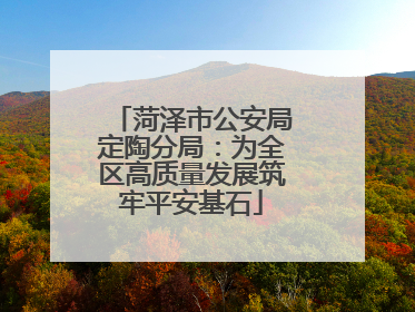菏泽市公安局定陶分局：为全区高质量发展筑牢平安基石