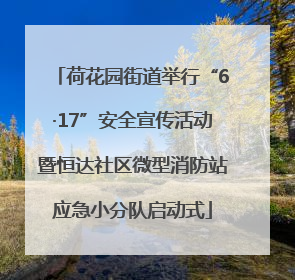 荷花园街道举行“6·17”安全宣传活动暨恒达社区微型消防站应急小分队启动式