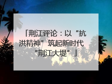 荆江评论：以“抗洪精神”筑起新时代“荆江大堤”