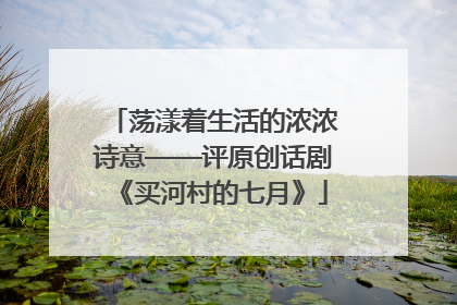荡漾着生活的浓浓诗意——评原创话剧《买河村的七月》