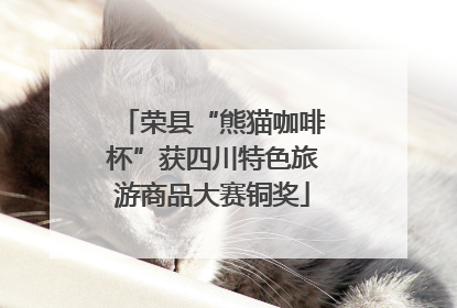 荣县“熊猫咖啡杯”获四川特色旅游商品大赛铜奖