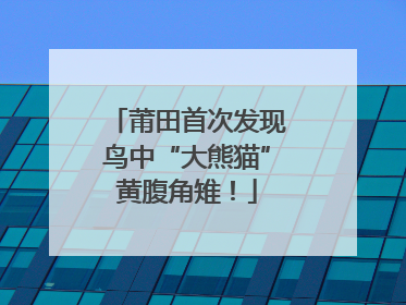 莆田首次发现鸟中“大熊猫”黄腹角雉！