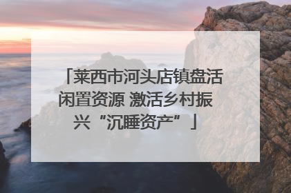 莱西市河头店镇盘活闲置资源 激活乡村振兴“沉睡资产”