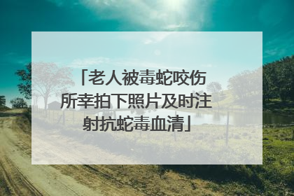 老人被毒蛇咬伤 所幸拍下照片及时注射抗蛇毒血清