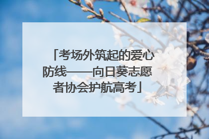 考场外筑起的爱心防线——向日葵志愿者协会护航高考