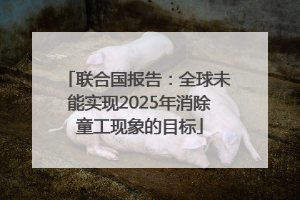 联合国报告：全球未能实现2025年消除童工现象的目标