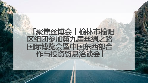 聚焦丝博会丨榆林市榆阳区组团参加第九届丝绸之路国际博览会暨中国东西部合作与投资贸易洽谈会