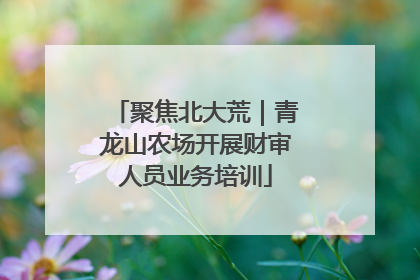 聚焦北大荒｜青龙山农场开展财审人员业务培训