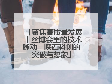 聚焦高质量发展丨丝博会里的技术脉动：陕西科创的突破与想象