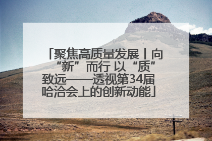 聚焦高质量发展丨向“新”而行 以“质”致远——透视第34届哈洽会上的创新动能