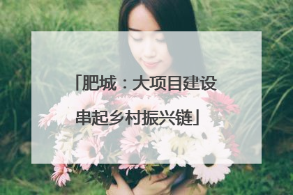 肥城：大项目建设串起乡村振兴链