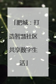 肥城：打造智慧社区共享数字生活