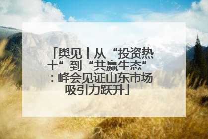 舆见丨从“投资热土”到“共赢生态”：峰会见证山东市场吸引力跃升
