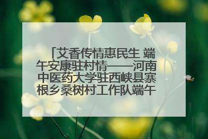 艾香传情惠民生 端午安康驻村情——河南中医药大学驻西峡县寨根乡桑树村工作队端午中医惠民记