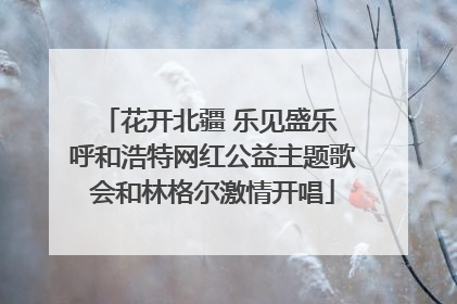 花开北疆 乐见盛乐 呼和浩特网红公益主题歌会和林格尔激情开唱