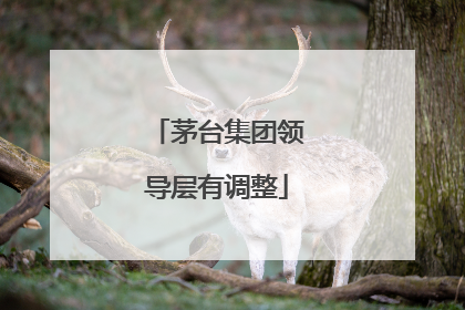 茅台集团领导层有调整