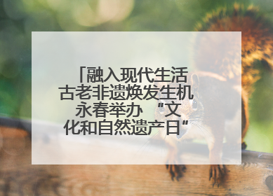 融入现代生活 古老非遗焕发生机 永春举办 “文化和自然遗产日” 非遗快闪活动