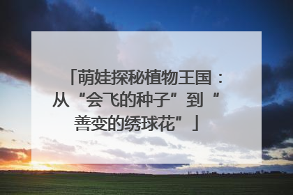萌娃探秘植物王国：从“会飞的种子”到“善变的绣球花”