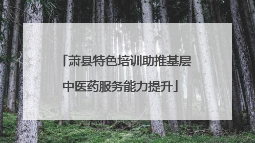 萧县特色培训助推基层中医药服务能力提升