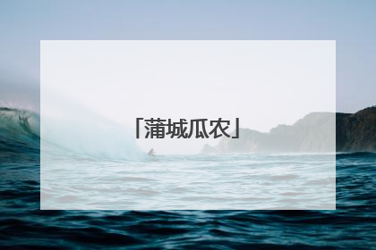 蒲城瓜农