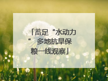 蓄足“水动力” 多地抗旱保粮一线观察